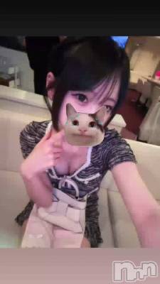 �ˤ㡼����������^._.^