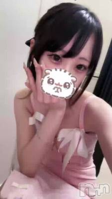 ꒰ᐡ– ‧̫ –ᐡ꒱ ᶻᶻᶻ