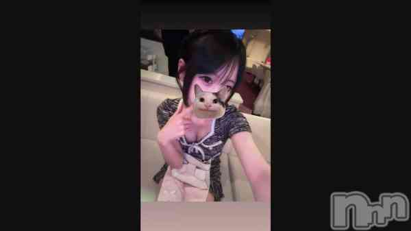 �֤ˤ㡼����������^._.^��