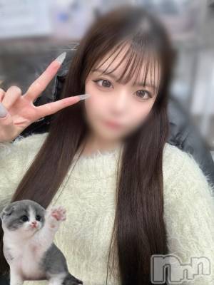 長岡デリヘル ROOKIE(ルーキー) ここみ(22)の2月22日写メブログ「ฅ^•ω•^ฅ」