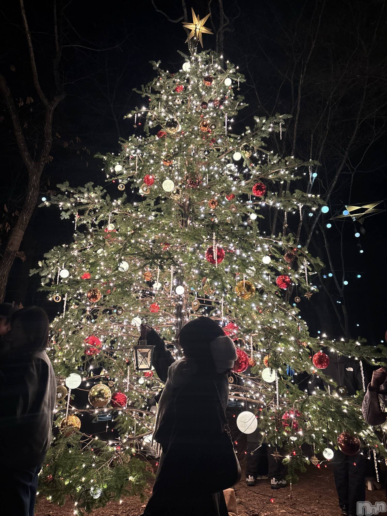 ���ܱ�������Х��顦���������(�����) ��2026ǯ3��11���̥�֥����ֽ顪��