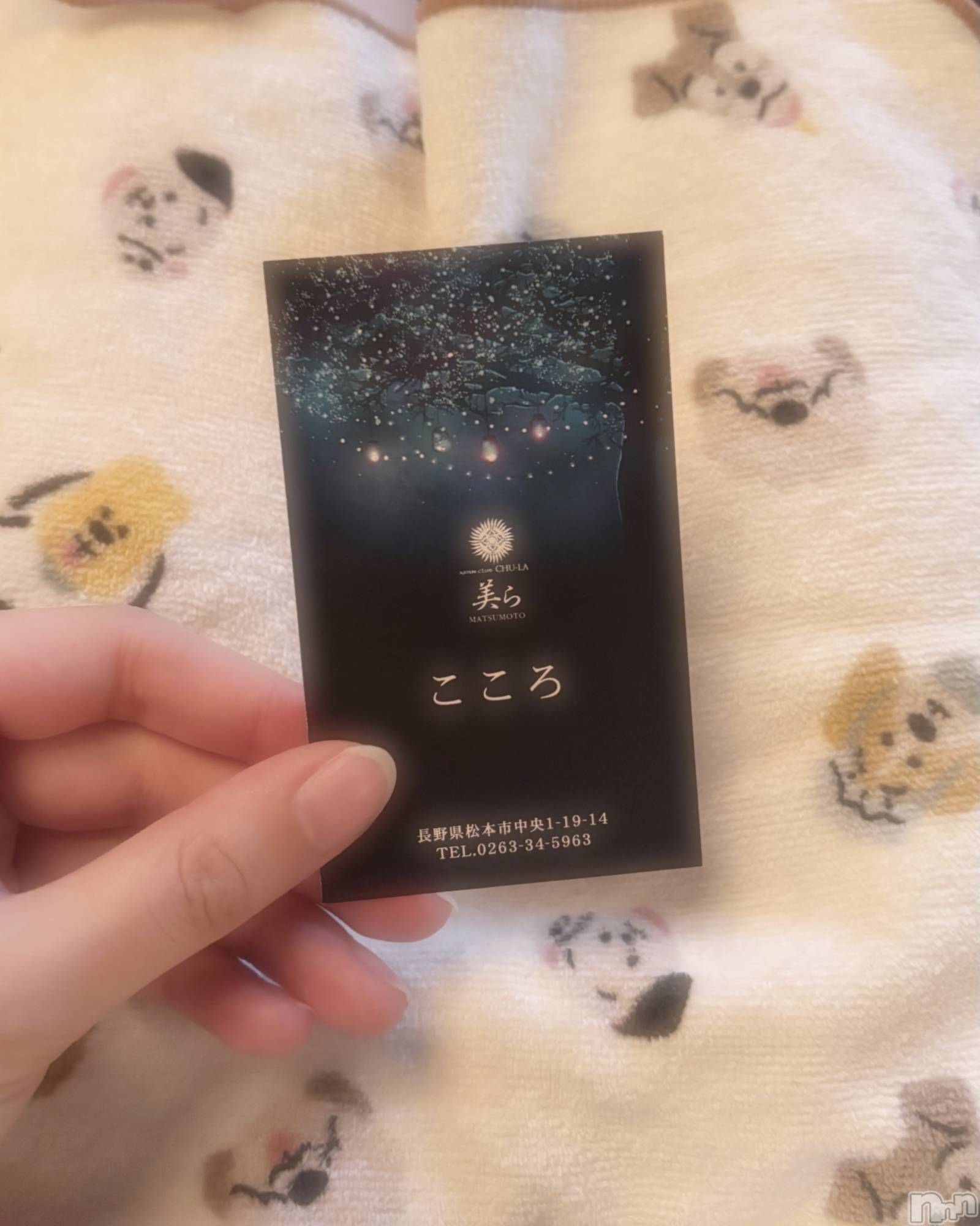 ���ܱ�������Х��顦���������(�����) ��2026ǯ3��19���̥�֥����ִ�����