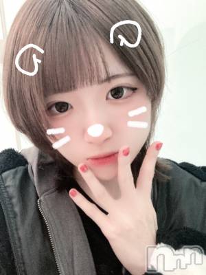 �Ҥ��(�ҥߥ�) ��Ĺ�ҥߥġ�����������ʥå��������륺�С� Girls Bar Philia(�����륺�С��ե��ꥢ)���ҡ�