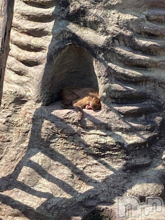 長岡デリヘルばななフレンド(バナナフレンド)のあ(23)の2026年4月24日写メブログ「お礼」