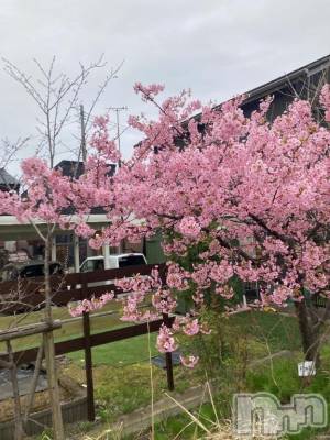 長岡デリヘル ばななフレンド(バナナフレンド) のあ(23)の4月24日写メブログ「お礼」