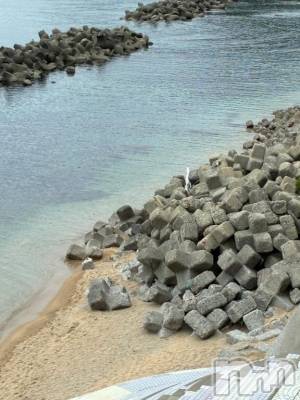 長岡デリヘル ばななフレンド(バナナフレンド) のあ(23)の5月25日写メブログ「海」