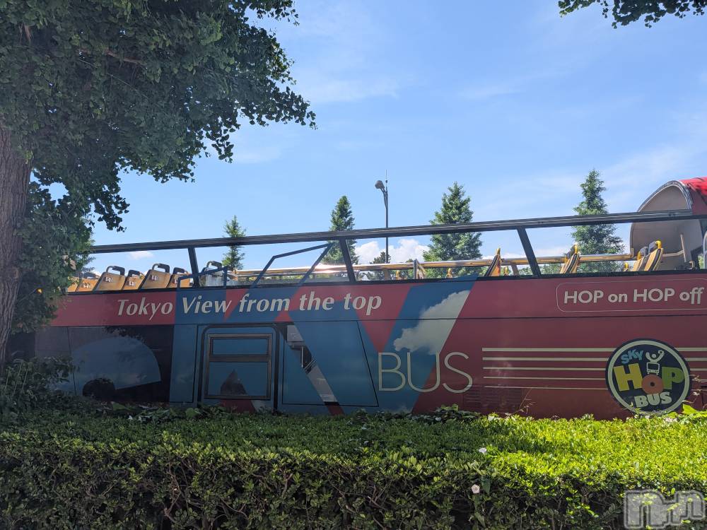 ��Į���ʥå��������륺�С����ʥå�����ܤ�̡�Ĺ��������2��Ź(���ʥå�����ܥ���ޡ��ʥ����������ޥ����˥����ƥ�) �ߤ��8��25���̥�֥�����ƴ���