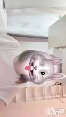 きゅーとあぐれっしぶ💓