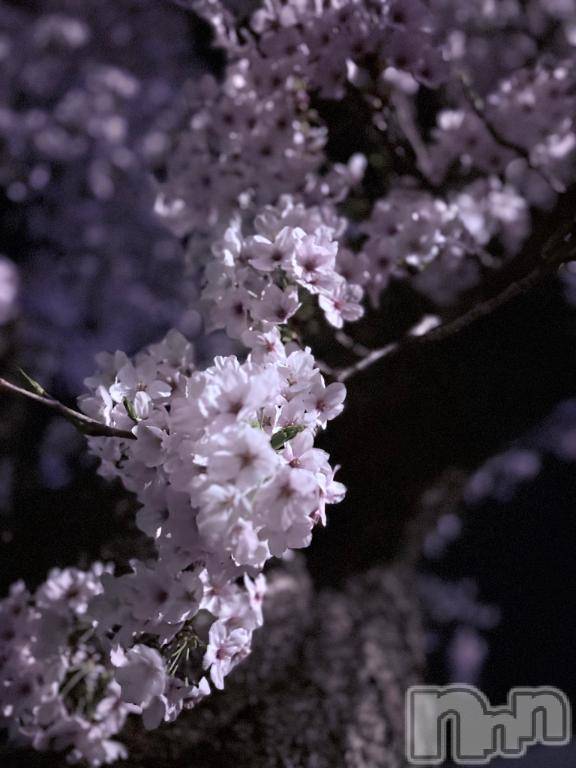 新潟ソープ新潟バニーコレクション(ニイガタバニーコレクション) ニコ(21)の4月9日写メブログ「おはにょ」