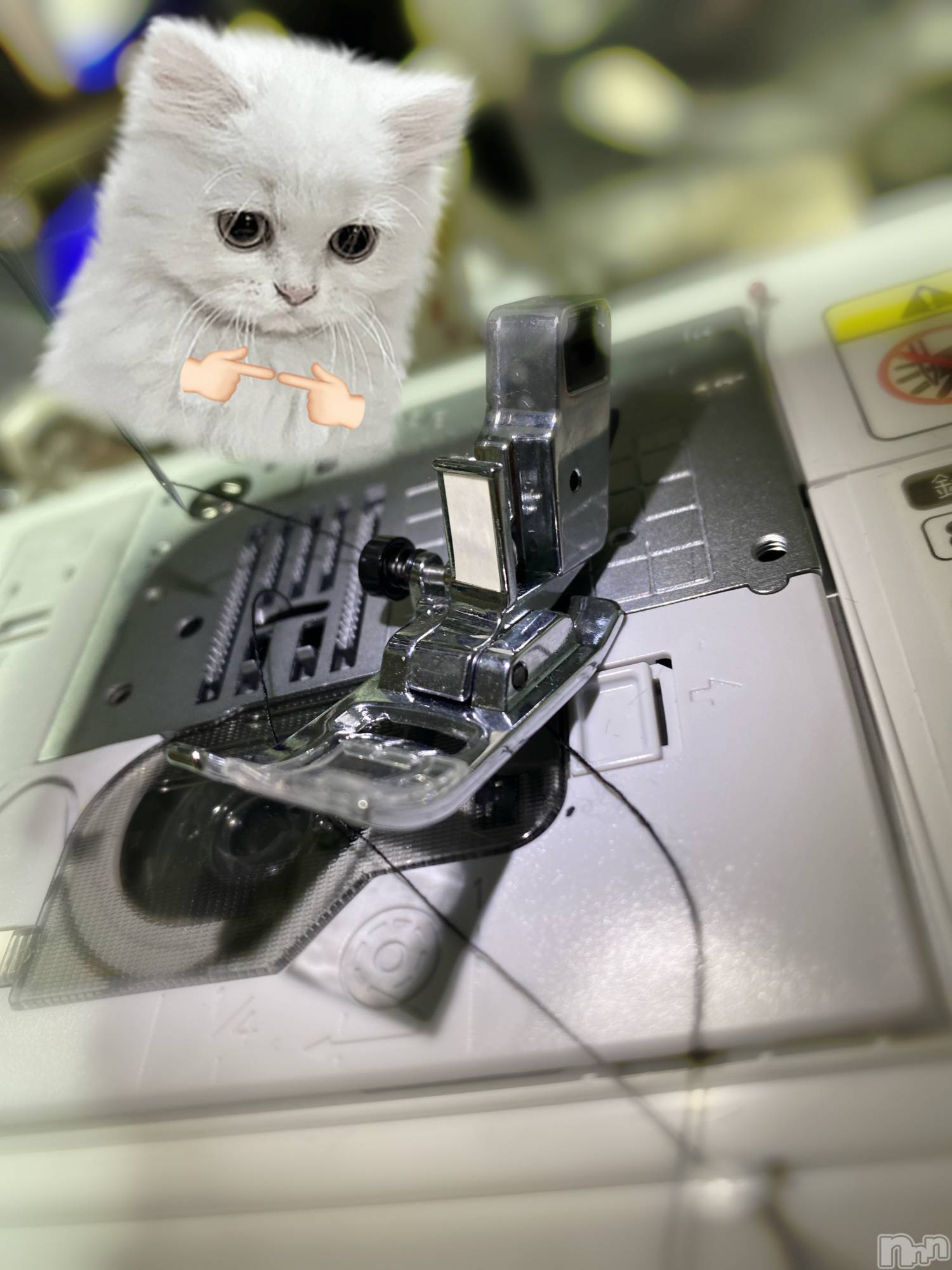 新潟デリヘルCocoru(ココル)いと(26)の2026年4月8日写メブログ「ぶっ壊した。2026。」