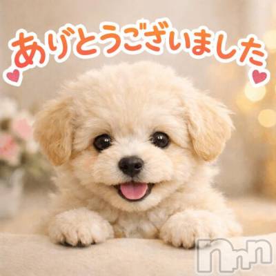 新潟デリヘル Melt(メルト) 【新人】このん(30)の3月15日写メブログ「N様お礼💌💭」