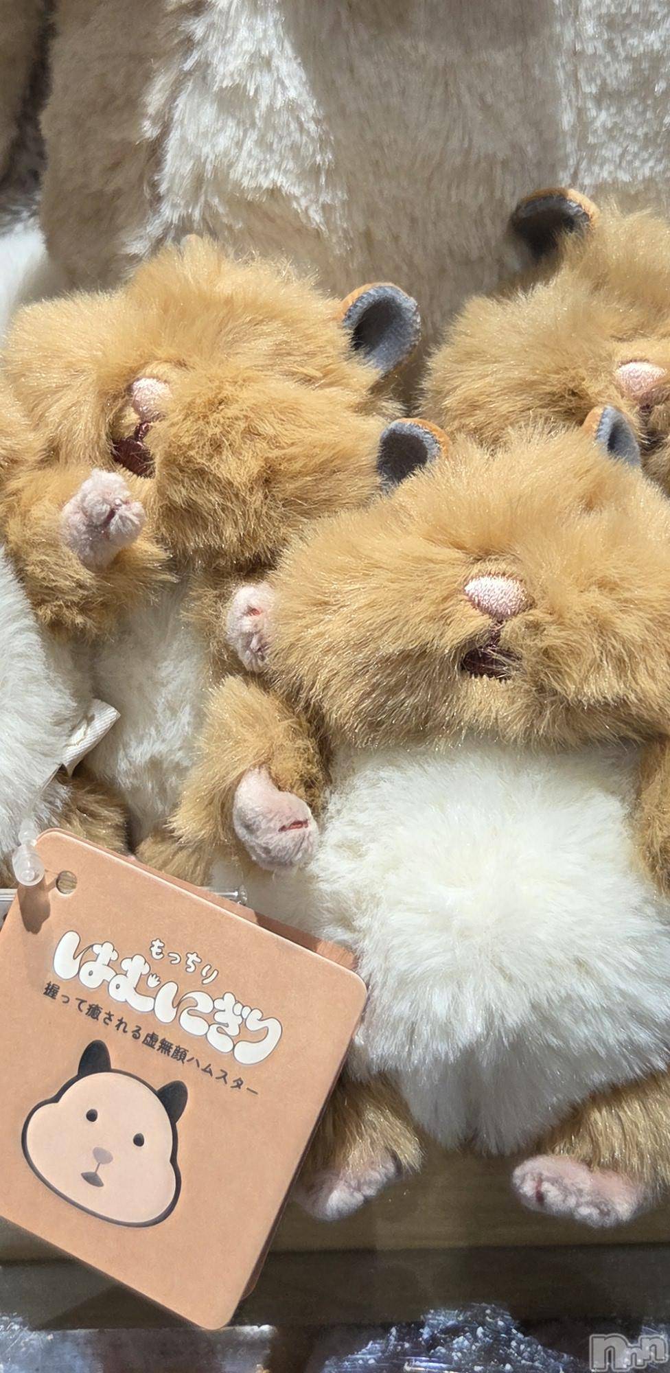 新潟デリヘル人妻楼　新潟店(ヒトヅマロウ　ニイガタテン)夏目(28)の2026年3月8日写メブログ「優しい時間をありがとうございました🧡」