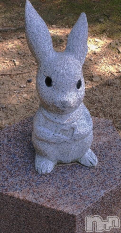 新潟デリヘル人妻楼　新潟店(ヒトヅマロウ　ニイガタテン)夏目(28)の2026年3月29日写メブログ「癒され時間でした🧡」