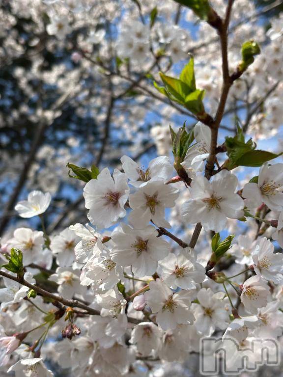 上越デリヘルHONEY(ハニー) さくら(♪♪)(21)の2月25日写メブログ「いよいよ明日...🥰」