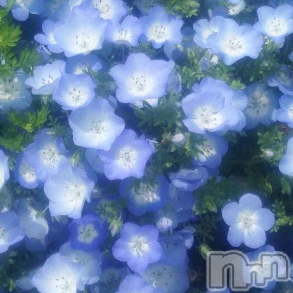上越デリヘルHONEY(ハニー) さくら(♪♪)(21)の4月27日写メブログ「🌸おはようございます🌸」