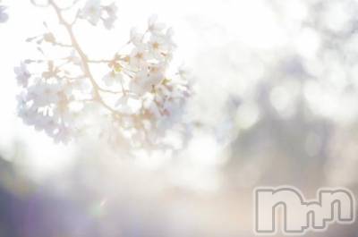 上越デリヘル HONEY(ハニー) さくら(♪♪)(21)の2月27日写メブログ「🌸おはようございます🌸」