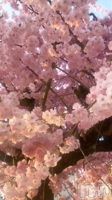 上越デリヘル HONEY(ハニー) さくら(♪♪)(21)の3月2日写メブログ「本日…🫣」