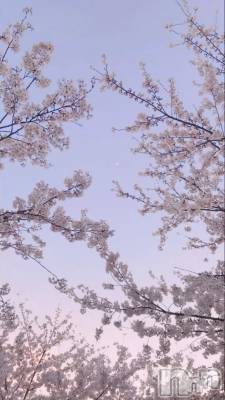 上越デリヘル HONEY(ハニー) さくら(♪♪)(21)の3月4日写メブログ「おはようございます🌸」
