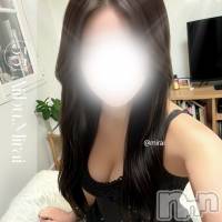 新潟メンズエステ 愛ぃ撫 -アィーブ-(アイーブ)の4月6日お店速報「本日総勢14名でご案内‼️本日✨激綺麗系女子みらいさん‼️初出勤^_^」