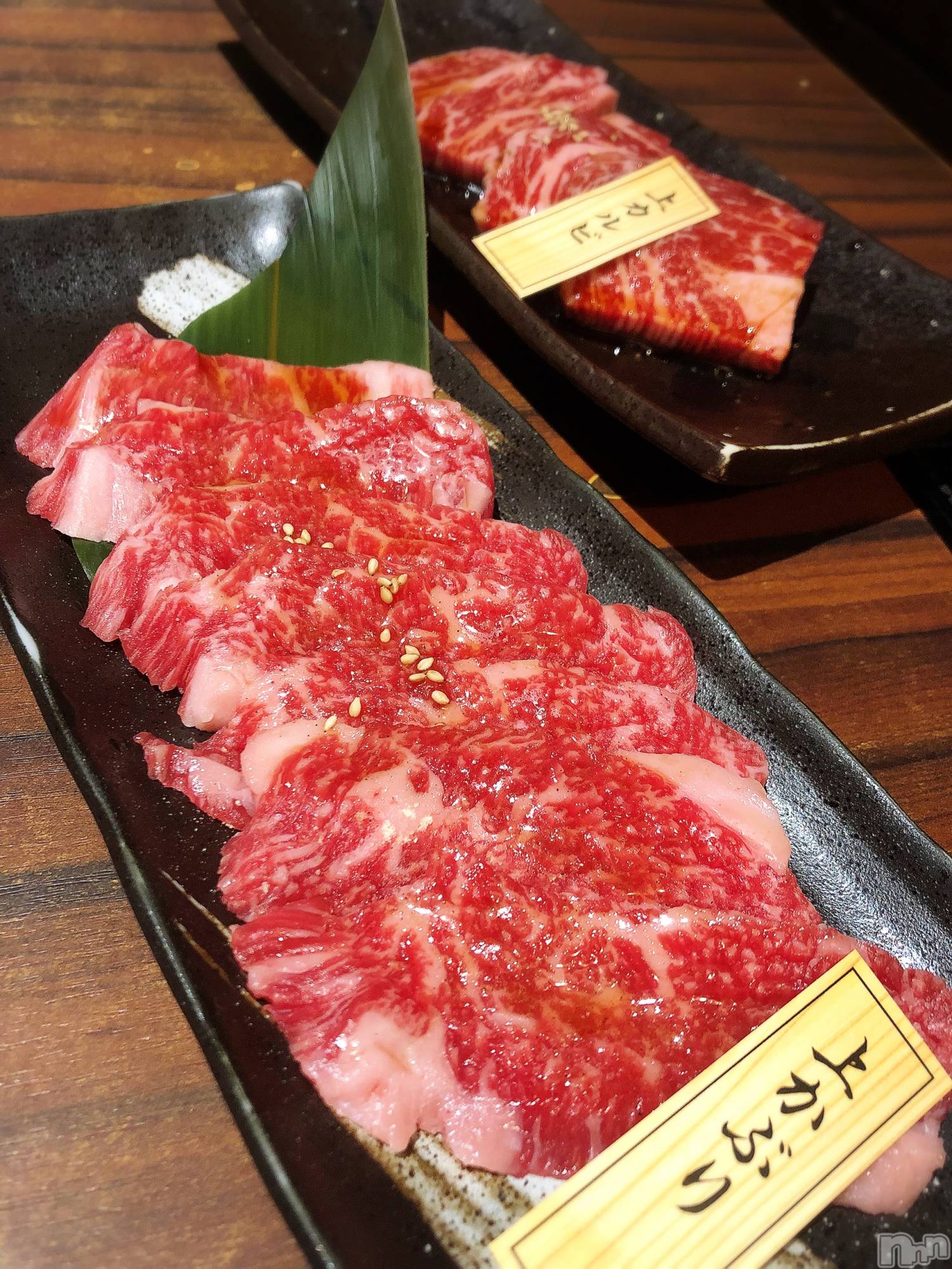 ���ܱ�������Х��顦���������(�����) ��2026ǯ4��7���̥�֥�����̿���äƤ�ʪ���