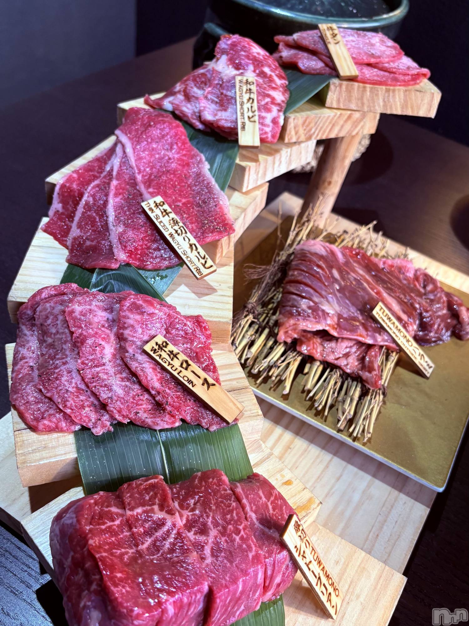 ���ܱ�������Х��顦���������(�����) ��2026ǯ5��8���̥�֥����֤���😋🥩��