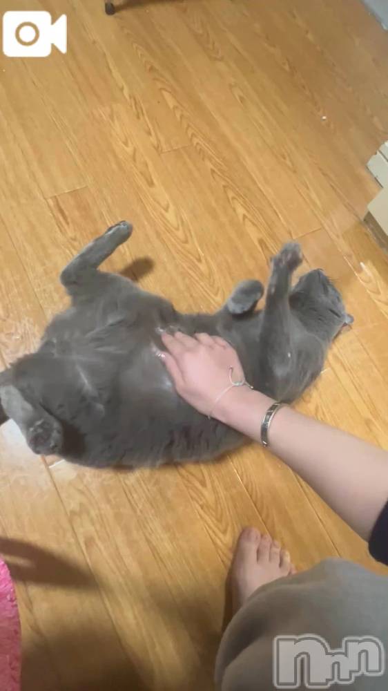 新潟デリヘル新潟デリヘル倶楽部(ニイガタデリヘルクラブ) はち(18)の3月27日写メブログ「ﾆｬﾝ」