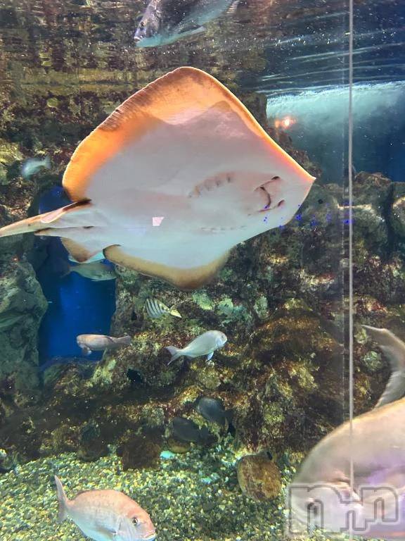 新潟デリヘル新潟デリヘル倶楽部(ニイガタデリヘルクラブ) はち(18)の3月27日写メブログ「ｽｰｲｽｲ」