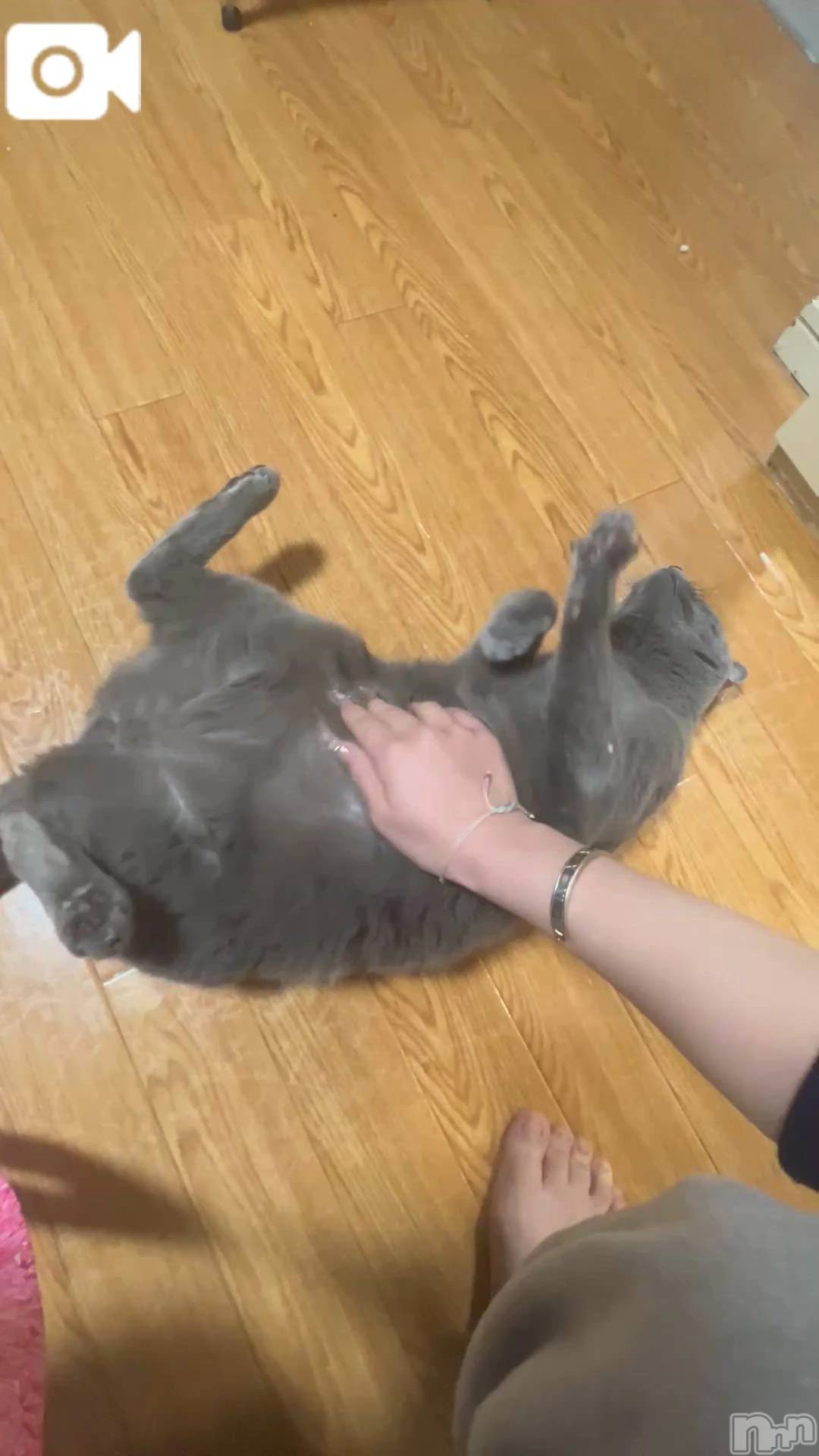 新潟デリヘル新潟デリヘル倶楽部(ニイガタデリヘルクラブ)はち(18)の2026年3月27日写メブログ「ﾆｬﾝ」