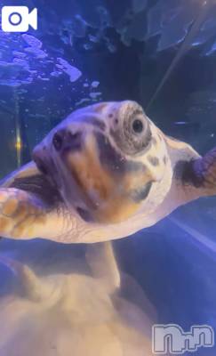 新潟デリヘル 新潟デリヘル倶楽部(ニイガタデリヘルクラブ) はち(18)の3月26日写メブログ「のほほん(  ´﹀` )」