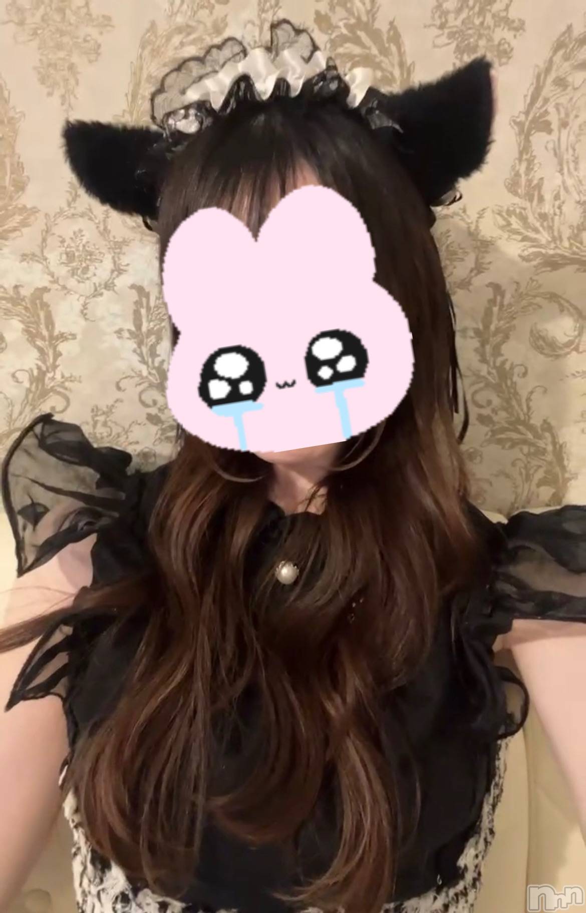 ����������ʥå��������륺�С����󥻥ץȥ��ե� ���ˤޤ����(���󥻥ץȥ��ե����˥ޥ륭�奦�ǥ�) ��2026ǯ5��22���̥�֥�����5��22�� 22��00ʬ�Υ֥�����