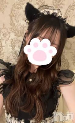 ����������ʥå��������륺�С����󥻥ץȥ��ե� ���ˤޤ����(���󥻥ץȥ��ե����˥ޥ륭�奦�ǥ�) ������3��10���̥�֥�����3��10�� 20��59ʬ�Υ֥�����