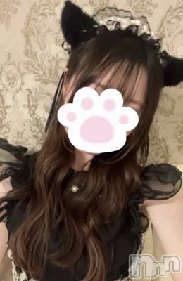 ����������ʥå��������륺�С����󥻥ץȥ��ե� ���ˤޤ����(���󥻥ץȥ��ե����˥ޥ륭�奦�ǥ�) ������5��28���̥�֥�����5��28�� 21��00ʬ�Υ֥�����