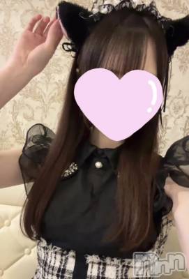 ����������ʥå��������륺�С����󥻥ץȥ��ե� ���ˤޤ����(���󥻥ץȥ��ե����˥ޥ륭�奦�ǥ�) ������6��1���̥�֥�����6��1�� 20��00ʬ�Υ֥�����