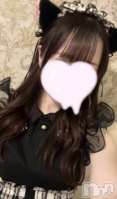����������ʥå��������륺�С����󥻥ץȥ��ե� ���ˤޤ����(���󥻥ץȥ��ե����˥ޥ륭�奦�ǥ�) ������6��23���̥�֥�����6��23�� 19��50ʬ�Υ֥�����