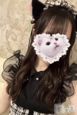����������ʥå��������륺�С����󥻥ץȥ��ե� ���ˤޤ����(���󥻥ץȥ��ե����˥ޥ륭�奦�ǥ�) ������6��24���̥�֥�����6��24�� 20��30ʬ�Υ֥�����