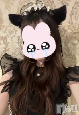 ����������ʥå��������륺�С����󥻥ץȥ��ե� ���ˤޤ����(���󥻥ץȥ��ե����˥ޥ륭�奦�ǥ�) ������7��2���̥�֥�����7��2�� 18��00ʬ�Υ֥�����