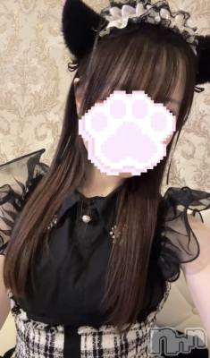 ����������ʥå��������륺�С����󥻥ץȥ��ե� ���ˤޤ����(���󥻥ץȥ��ե����˥ޥ륭�奦�ǥ�) ������7��6���̥�֥�����7��6�� 19��07ʬ�Υ֥�����