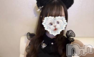 ����������ʥå��������륺�С����󥻥ץȥ��ե� ���ˤޤ����(���󥻥ץȥ��ե����˥ޥ륭�奦�ǥ�) ������7��22���̥�֥�����7��22�� 19��23ʬ�Υ֥�����