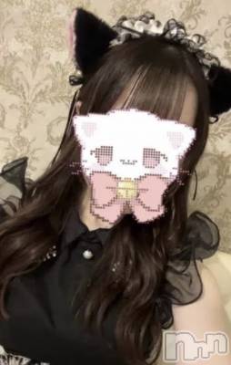 ����������ʥå��������륺�С����󥻥ץȥ��ե� ���ˤޤ����(���󥻥ץȥ��ե����˥ޥ륭�奦�ǥ�) ������7��27���̥�֥�����7��27�� 18��00ʬ�Υ֥�����