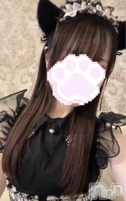 ����������ʥå��������륺�С����󥻥ץȥ��ե� ���ˤޤ����(���󥻥ץȥ��ե����˥ޥ륭�奦�ǥ�) ������8��7���̥�֥�����8��7�� 18��30ʬ�Υ֥�����