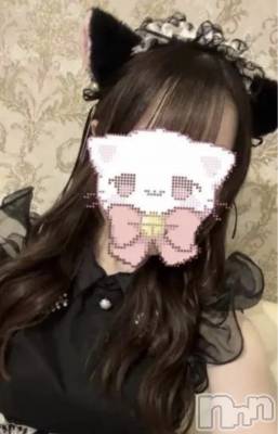 ����������ʥå��������륺�С����󥻥ץȥ��ե� ���ˤޤ����(���󥻥ץȥ��ե����˥ޥ륭�奦�ǥ�) ������8��22���̥�֥�����8��22�� 20��30ʬ�Υ֥�����