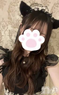 ����������ʥå��������륺�С����󥻥ץȥ��ե� ���ˤޤ����(���󥻥ץȥ��ե����˥ޥ륭�奦�ǥ�) ������9��15���̥�֥�����9��15�� 18��40ʬ�Υ֥�����