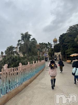 �椤(�ҥߥ�) ��Ĺ�ҥߥġ���Ʋ����Х��顦����� 151-A(������������)���ҡ�