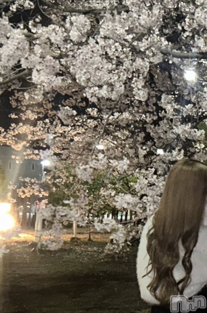 ��ˬ����Х��顦�����CLUB K����Prologue��(����֥���) �뤢��4��4���̥�֥��������🌸��