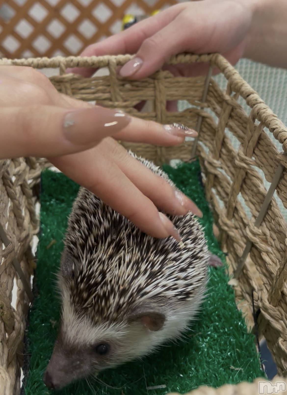 ��ˬ����Х��顦�����CLUB K����Prologue��(����֥���) ��2026ǯ4��3���̥�֥����֥���������