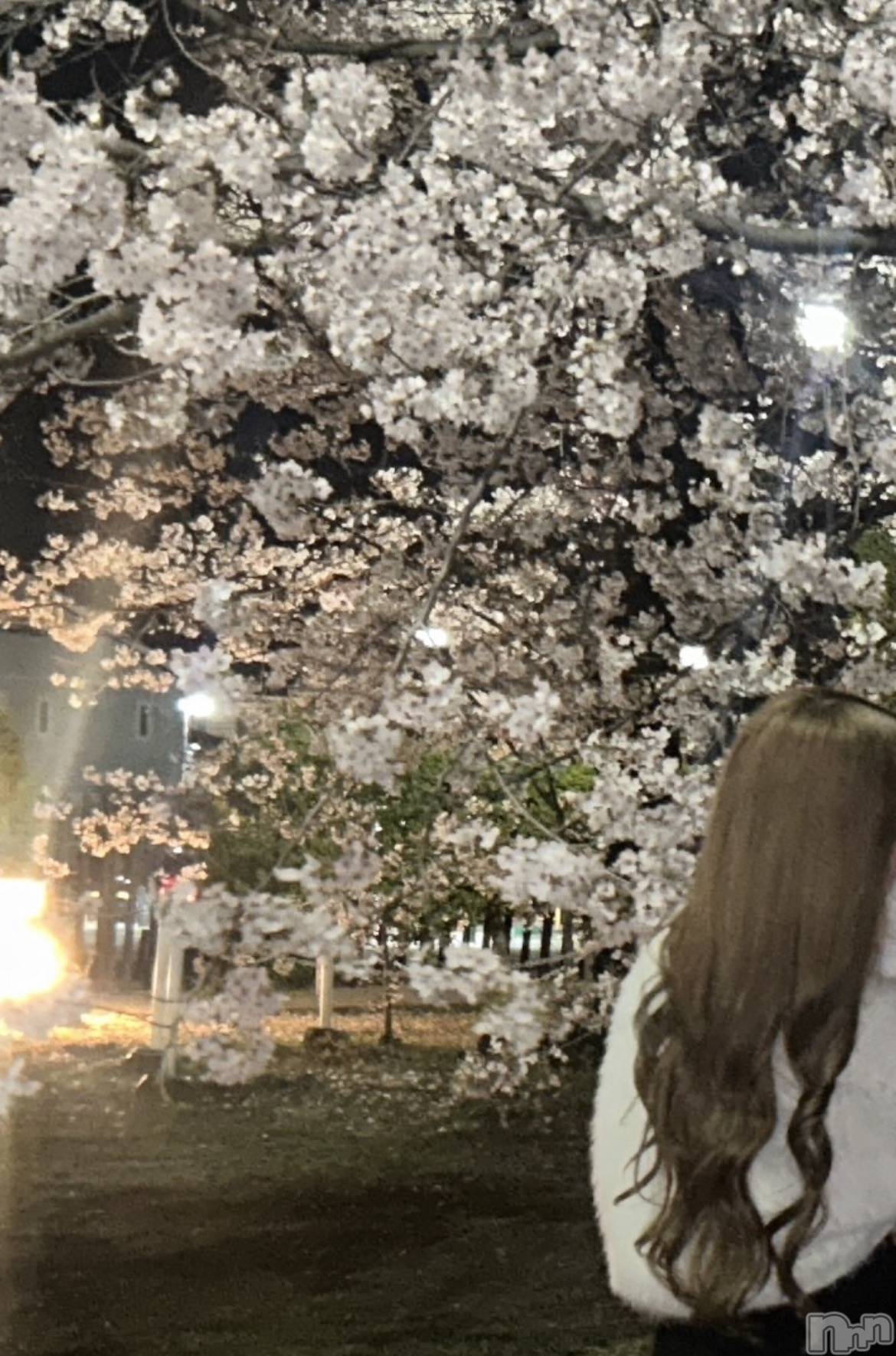 ��ˬ����Х��顦�����CLUB K����Prologue��(����֥���) ��2026ǯ4��4���̥�֥��������🌸��