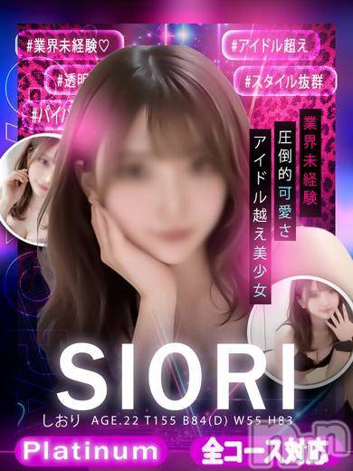 しおり