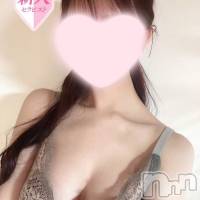 【新人】のえる