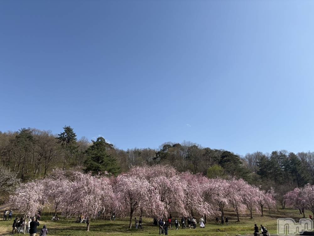 ����������ʥå��������륺�С�JEUNESSE(����ͥ�) Risa��4��11���̥�֥����ֺ��ޤ��餤�Ƥ�🌸��