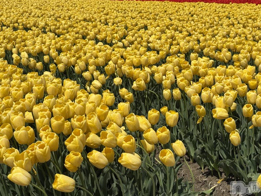 ����������ʥå��������륺�С�JEUNESSE(����ͥ�) Risa��4��17���̥�֥����֥��塼��åס�